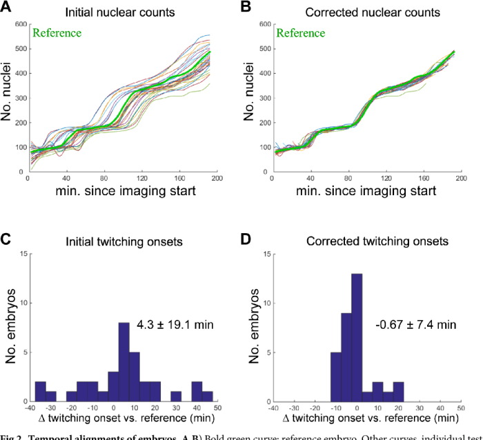 Describe the puzzle of perceptual invariance despite acoustic variability