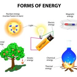 Simone created a chart to summarize the energy transformations