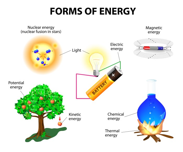 Simone created a chart to summarize the energy transformations